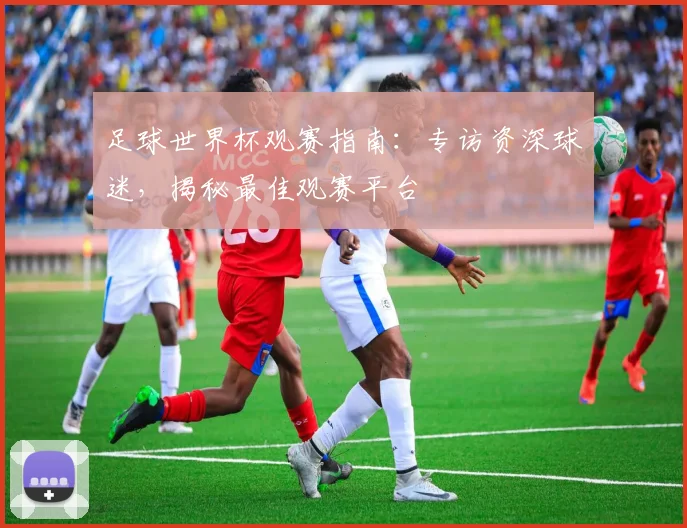 足球世界杯观赛指南：专访资深球迷，揭秘最佳观赛平台