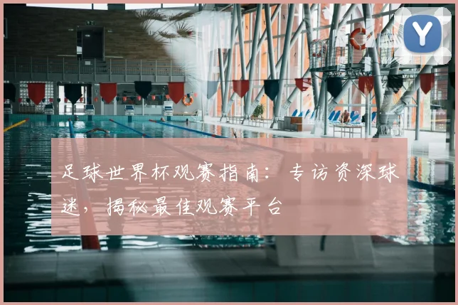 足球世界杯观赛指南：专访资深球迷，揭秘最佳观赛平台